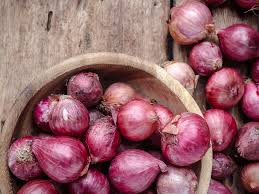 Namun meskipun tidak pada musim panen. Hasil Gambar Untuk Bawang Merah Bawang Merah Bawang Merah