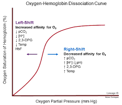 Oxygen Hemoglobin Dissociation Curve Respiratory