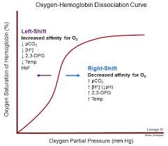 oxygen hemoglobin dissociation curve respiratory