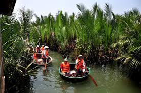 Image result for hinh rung dua 7 mau