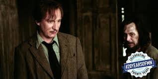 Check spelling or type a new query. Top 20 Harry Potter Ships Mugglenet