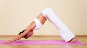 We did not find results for: Neuer Trend Heisse Kurse Hot Yoga Core Training Fitness Krafttraining Pilates Sportarten Yoga