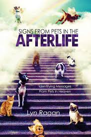 When a beloved pet dies, the pet goes to this place. Signs From Pets In The Afterlife Identifying Messages From Pets In Heaven Ragan Lyn 9780991641420 Amazon Com Books