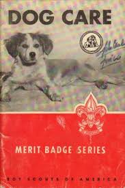 In session 1, the boys learned about the evolution of the dog, early dogs, and how dogs were domesticated. 8 Dog Care And Health Ideas Dog Care Dogs Dog Grooming Diy