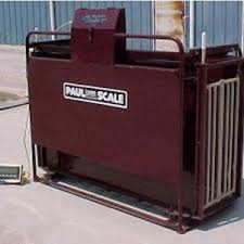 Animal Weighing For Sale Online Prime Usa Scales Scale Different Types Of Animals Weighing Scale