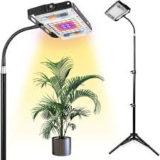 Growing plants at home can be hard. 150w Grow Light With Stand Lbw Full Spectrum Led Floor Plant Light Flexible Gooseneck Adjustable Tripod Stand For Indoor Planting Dataglove Com