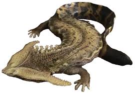 Image result for Diplocyclos tenuis