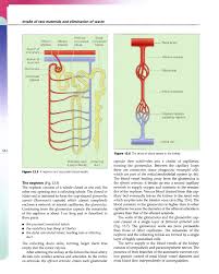 Ross And Wilson Anatomy And Physiology In Health And Illness 9th Ed A Waugh A Grant Elsev Copy Pages 351 400 Flip Pdf Download Fliphtml5 Fully updated throughout, the book now comes with enhanced learning. ross and wilson anatomy and
