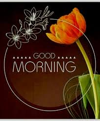 Good morning images with flowers hd : á… Top 55 Good Morning Images Hd Morning Pictures Wishes