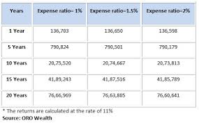 Should Mutual Fund Investors Worry About Expense Ratios Or