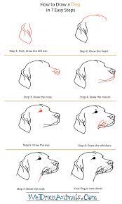 Step by step how to draw a dog portrait. How To Draw A Dog Head Step By Step Easy Learn How To Draw