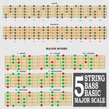 5 String Bass Basic Major Scale For Bass Player Teacher And