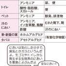 聴覚と嗅覚のメカニズム 耳と鼻 感じる 考える 4 看護roo カンゴルー 聴覚 看護 汗腺