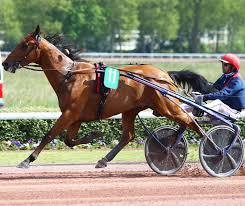 Voir le tableau des résultats préparer le prochain quinté. Disparition Du Trotteur Aubrion Du Gers Cheval Magazine