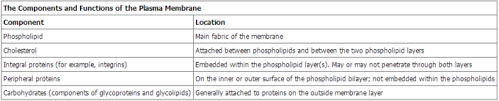 Structural stability of bilayer 5. 5 1b Fluid Mosaic Model Biology Libretexts