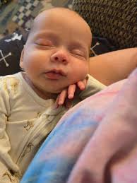 Kirstie Schollenberger || Wicked Kind Homestead