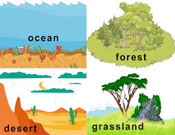 Create great flashcards use easy authoring tools on both our website and our mobile & tablet apps. Free Animal Habitat Flashcards Animal Habitats Habitats Flashcards