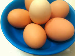 Telur ayam telur ayam makanan anak ayam paskah makan hewan burung gizi. Merebus Telur Ayam Matang Sempurna Itafera