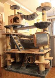 lezhanka dlya koshki svoimi rukami master klassy pohon kucing menara kucing tempat tidur kucing