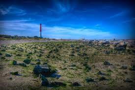 Barnegat Light New Jersey Wikiwand