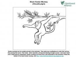 Push pack to pdf button and download pdf coloring book for free. Black Howler Monkey Coloring Page Rainforest Alliance