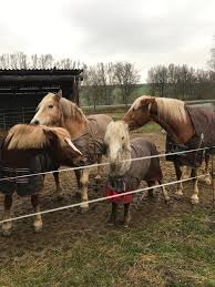 This image was removed due to legal reasons. Sosti On Tour Posts Facebook