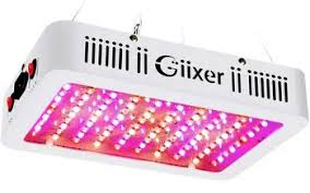 We did not find results for: 7 Best 1000 Watts Led Grow Lights For Grow Tent Reviewed