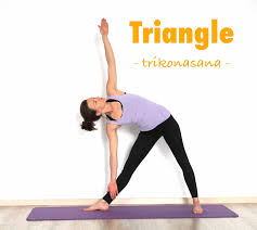 Animals name in english and hindi with photo: How To Do Trikonasana Triangle Pose Yoga Poses Step By Step