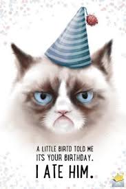 Happy Birthday To Me Meme 2020 A Little Bird Told Me It S Your Birthday I Ate Him In 2020 Funny Happy Birthday Images Happy Birthday Funny Funny Happy Birthday Wishes