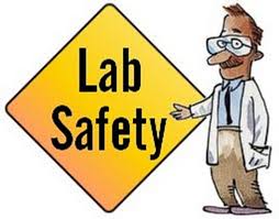 Laboratory lab safety scientist science gift idea poster. Lesson Science Safety Betterlesson