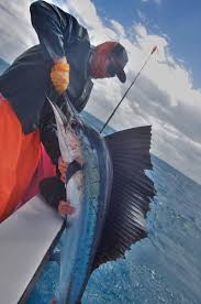 Florida Keys Charter Fishing Seasons Marathon Islamorada
