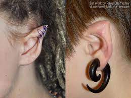 Gift cards are delivered by email and contain instructions to redeem them at checkout. Ear Reshaping Bme Tattoo Piercing And Body Modification News