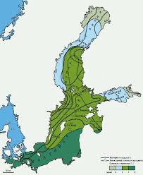 Sub sau peste aceasta temp densitatea scade. Marea Baltica Care Este Temperatura Apei In Marea BalticÄƒ Temperatura Apei Pe Coasta MÄƒrii Baltice