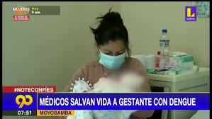 Decretos de oro que salvan vidas. Noticias Sobre Dengue El Comercio Peru
