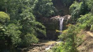 Check spelling or type a new query. Curug Nini Kabupaten Purbalingga Jawa Tengah Tempat Wisata Purbalingga Jawa Tengah Curug Nini Daftar Wisata Air Terjun Atau Curug Di Kabupaten Purbalingga Jawa Tengah Yang Menarik Dikunjungi Antara Lain