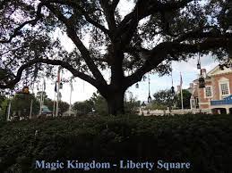 Disney World Magic Kingdom Trivia The 13 Lanterns Hanging In The Liberty Square Tree Represent Th Disney World Magic Kingdom Disney World Disney World Rides