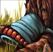 Hat Of Disguise Forgotten Realms Wiki Fandom