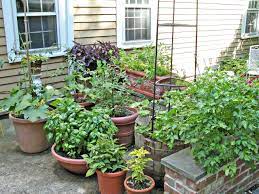 Choose a good quality hose that will be able to hold up against direct sunlight and other outdoor elements when left out for extended periods. Watering Plants While On Vacation