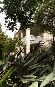Library In Fernery Luigi Rosselli Architects