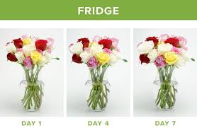 71 ($44.71/count) get it as soon as wed, jul 7. How To Make Flowers Last Longer 9 Tricks Proflowers