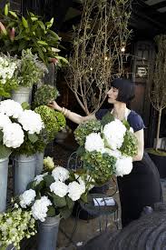 The Flower Shop Flower Store Flower Boutique Flower Shop