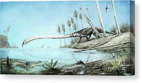 Image result for Tanystropheus