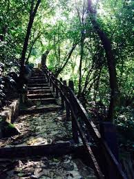 We did not find results for: Puente De Dios Tamasopo S L P Picture Of Ciudad Valles San Luis Potosi Tripadvisor