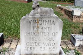 Virginia Mayo (1951-1951)