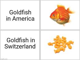 The best memes from instagram, facebook, vine, and twitter about switzerland. T1y3qw4jflr7pm