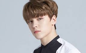 Read vernon from the story seventeen by aresrenren (ares) with 5,942 reads. Vernon Seventeen Members Profile Vote