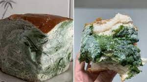 Pengawet makanan , ketika membuat makanan, beberapa orang kerap menginginkan makanan bisa dimakan di lain waktu alias tidak langsung habis saat itu juga. Toko Kue Di Cina Produksi Roti Berbentuk Makanan Basi Foto Tempo Co
