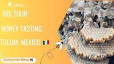 Bee Tour | Honey Tasting | Tulum, Mexico - YouTube
