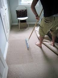 This Fresh Fossil Home Maintenance Carpet Rakes How To Clean Carpet Carpet Cleaning Hacks Carpet Cleaning Solution