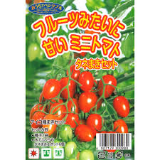 高田種苗オンライン  フルーツみたいに甘いミニトマト 「アイコ」タネまきセット